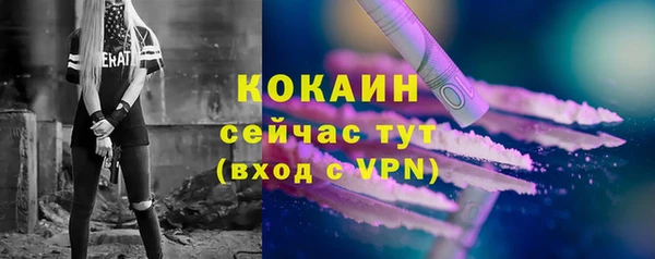 PSILOCYBIN Арсеньев