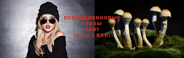 стафф Армянск